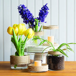 Get Creative for an Impactful Earth Day | Bouquets of flowers in various sized vases on a wooden countertop